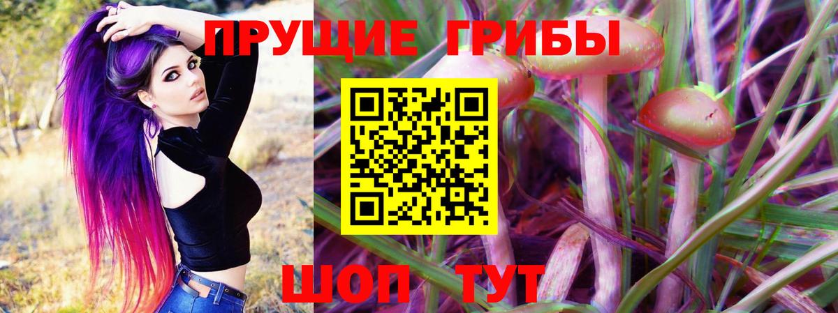 Псилоцибиновые грибы Cubensis  Вход с VPN  Баксан  Галлюциногенные грибы Psilocybe 