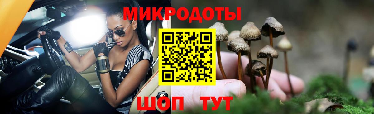 Псилоцибиновые грибы прущие грибы Баксан